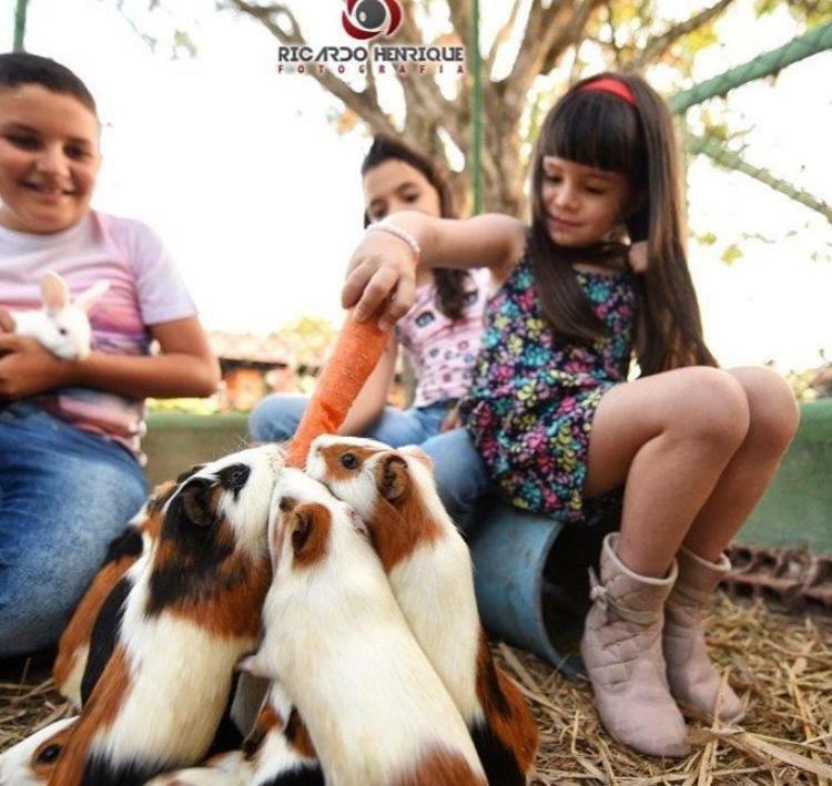 Pousada Fazenda Santa Fe Bezerros Dış mekan fotoğraf